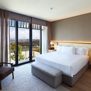 Luxe Suite